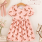 Pink Western Horse Twirl Dress
