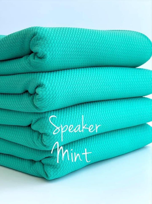 Speaker Mint Fabric Bow