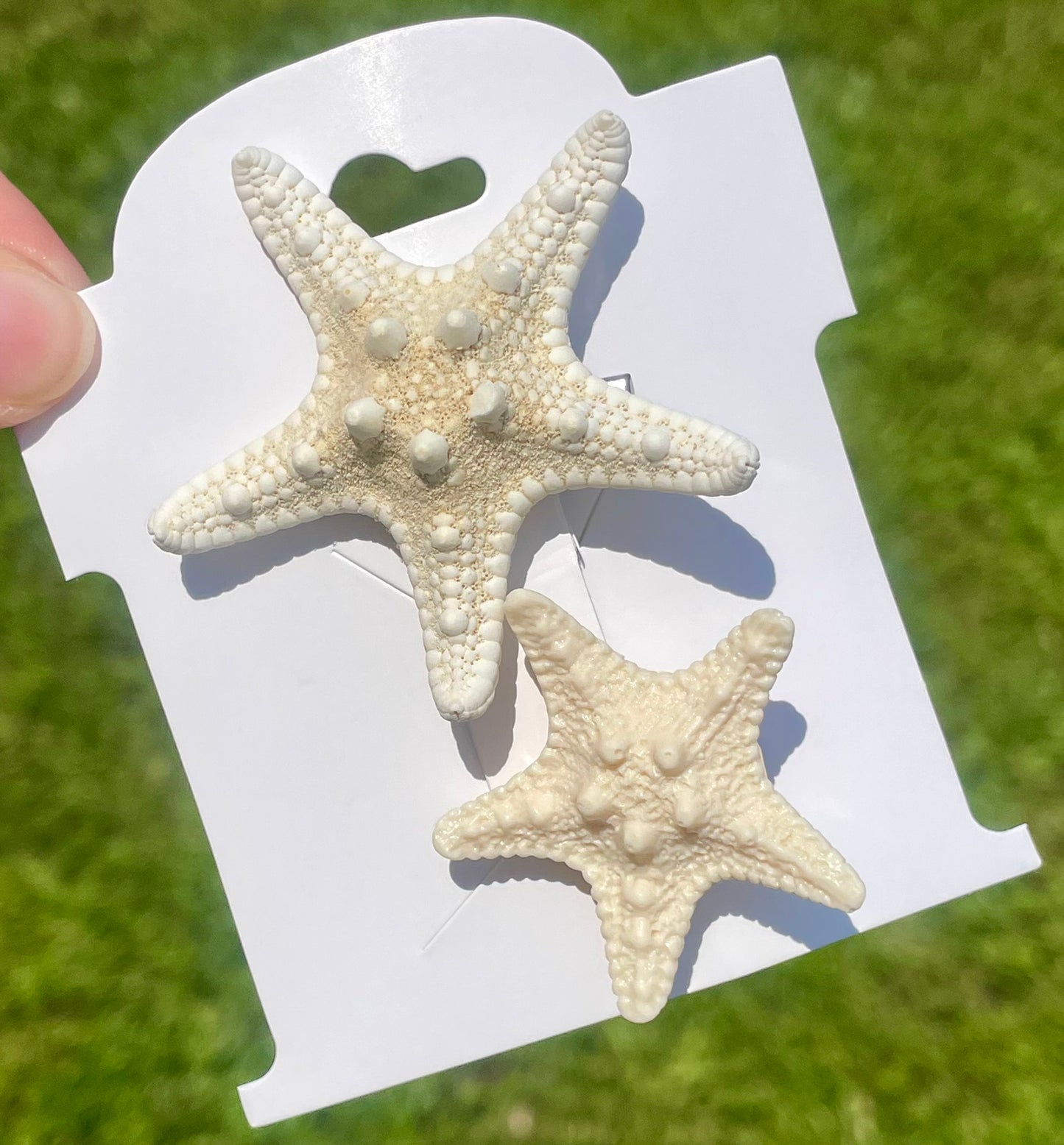 Starfish Clip